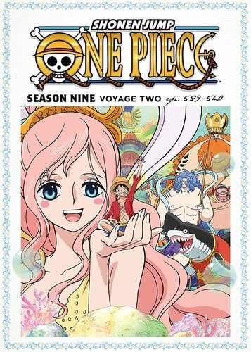 SEASON NINE: VOYAGE TWO (2 DVD) - ONE PIECE