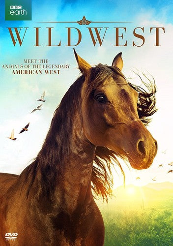 WILD WEST - DVD