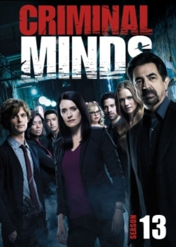 THIRTEENTH SEASON (6 DVD) - CRIMINAL MINDS