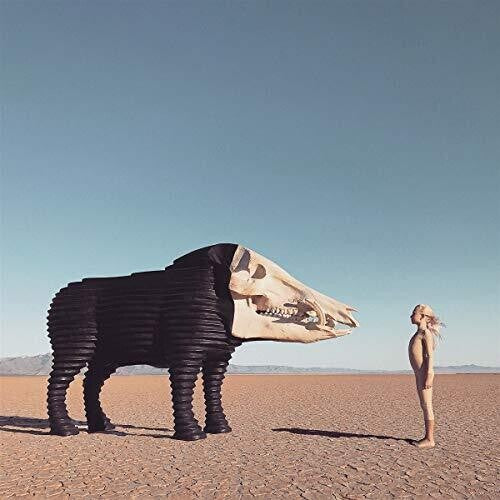DREAM HUNTING IN THE VALLEY...(2020) - CD