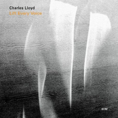 LIFT EVERY VOICE (2 CD) - CD