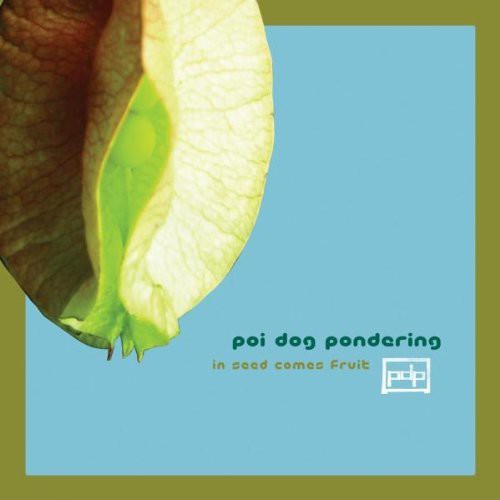 IN SEED COMES FRUIT - CD