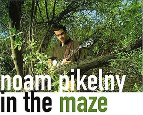 IN THE MAZE - CD