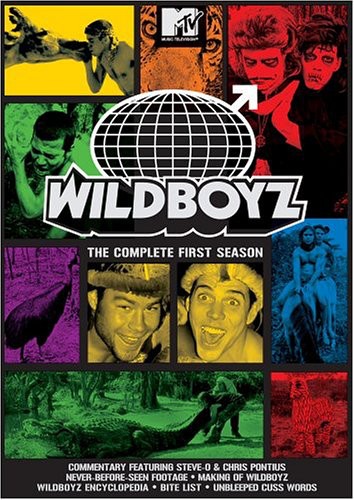 COMPLETE FIRST SEASON (2 DVDS) - WILDBOYZ