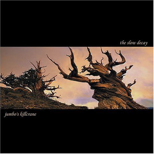 SLOW DECAY,THE - CD